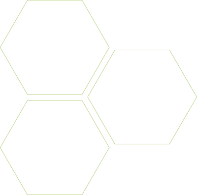 hexagons-outlines green hexagons-outlines green
